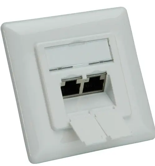 SECOMP-25168490-ROLINE-Cat.6A-(Class EA)-socket-2x-STP-flush-mounted-product