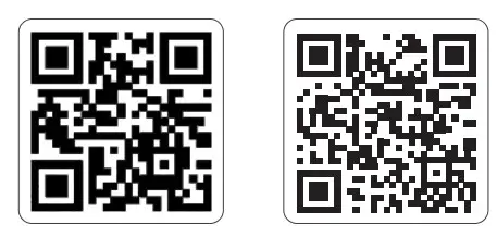 TOZO NC2 Hybrid Active Noise Cancelling Wireless Earbuds -Qrt