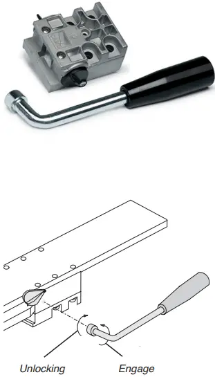 CAME FROGAE-P 230V Swing Gate Kit-fig9