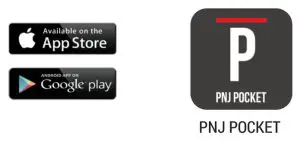 PNJ Mini 4K Pocket Gimbal STA-POCKET- pnj