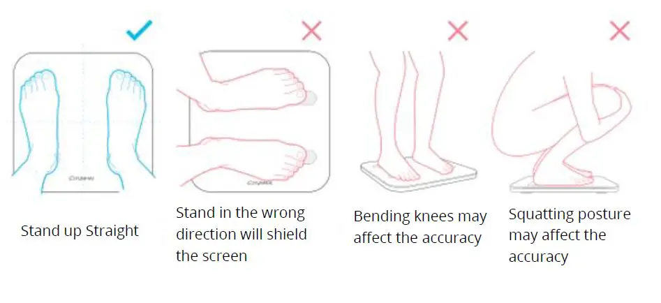 YUNMAI Pro Ml806 Smart Scale FIG 6