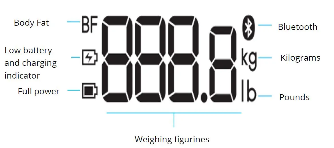 YUNMAI Pro Ml806 Smart Scale FIG 7