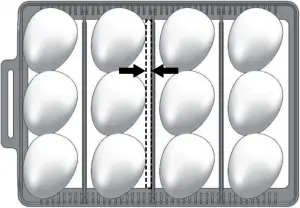 egg tray 1