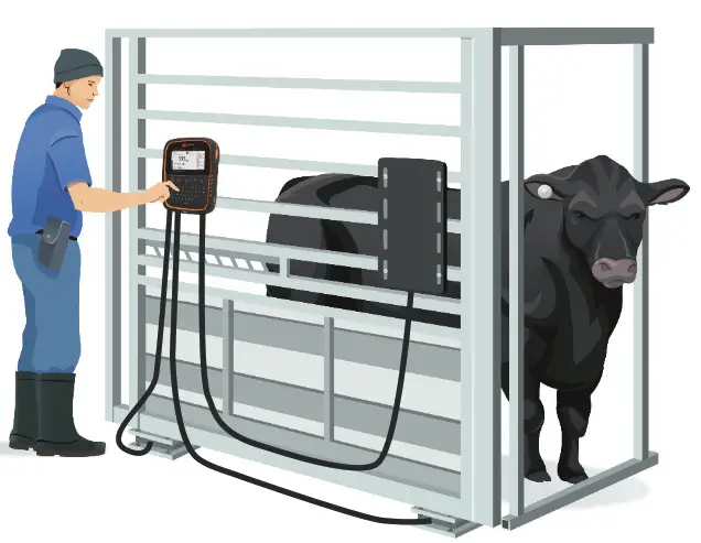 GALLAGHER TWR-5 Weigh Scale and Data Controller - Position the TWR