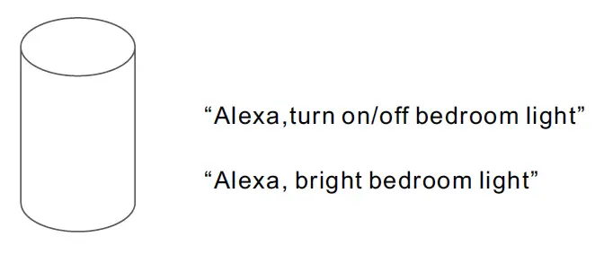 LOTUS-ERC111-Smart-Wi-Fi-Dimmer-fig-13