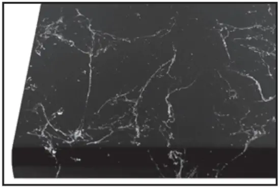 A GUIDE TO VEIN STYLES