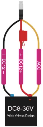 FALCON ELECTRONICS LiveEye 1-4 Cam reco option