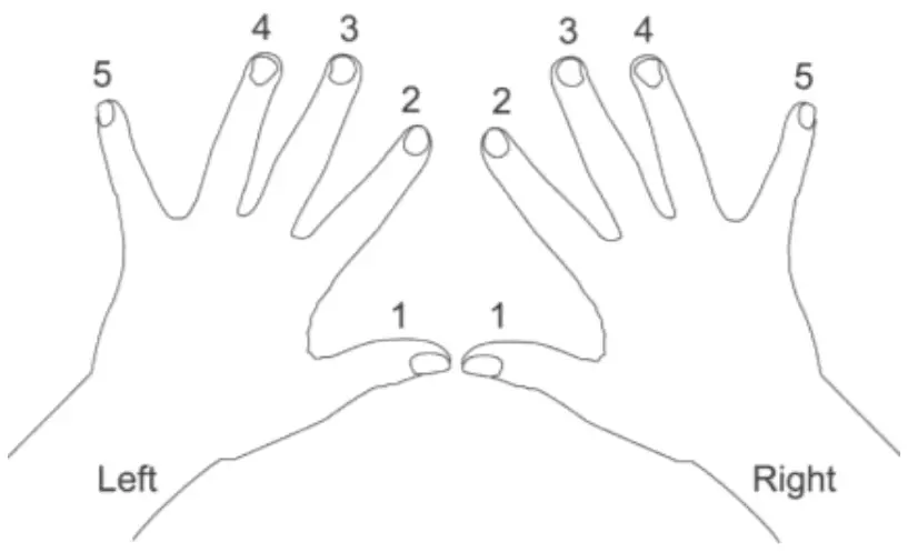 Hand sequences