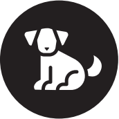 levoit LAP C301S WAAA VeSync Core 300S True Hepa Smart Air Purifier - ICON 11