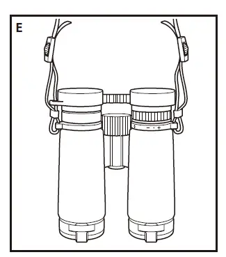 Nikon 10x30 Monarch HG Binocular 3
