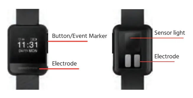 Sensomics SensWatch Falcon 2