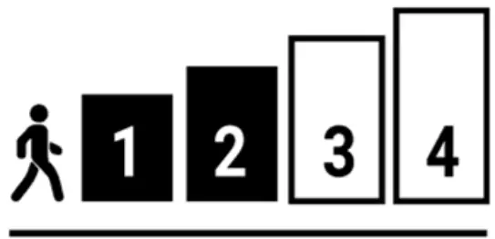 PROTEOR 4 AXIS - FIG 2