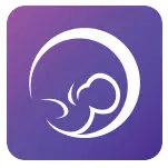 premom-EBT-380-Smart-Basal-Thermometer-fig-2