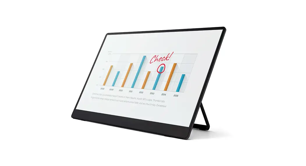 Ricoh 150-150bw Portable Monitor User Guide