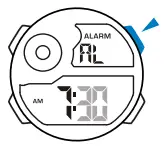 Alarm
