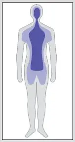 BRAUN PRO 4000 ThermoScan Ear Thermometer User Manual - Human Body