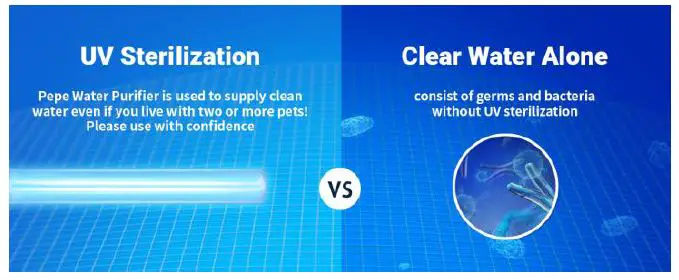 Powerful UV Sterilization