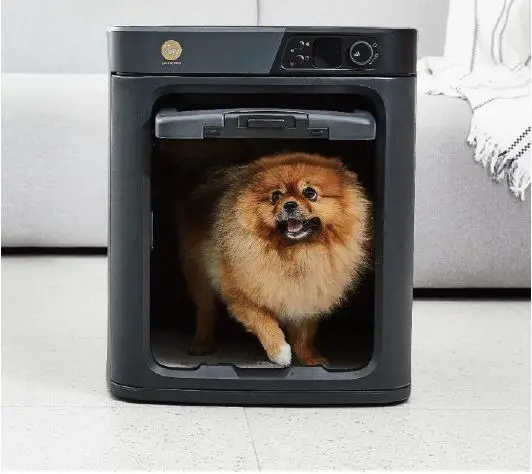 Reduced stress on pets face hitting