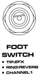 NUX AC 80 Stageman II Acoustic Amplifier - SWITCH jack