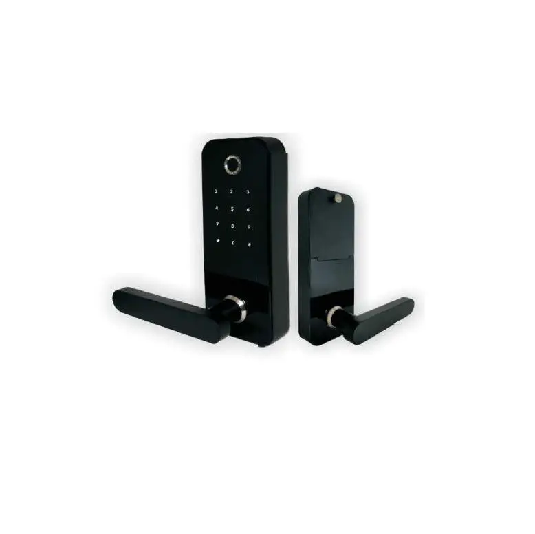 Sunsky F11s Smart Fingerprint Password Lock Office Apartment Graffitu Bluetooth App Lock User Manual