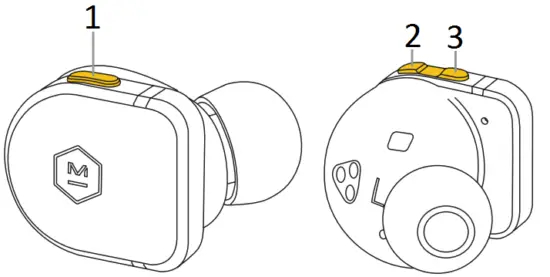 MASTER AND DYNAMIC MULTI-FUNCTION BUTTON