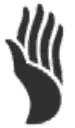 Hand Icon