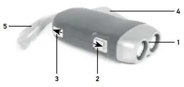 79656 Discovery Basics SR10 Torch - 1
