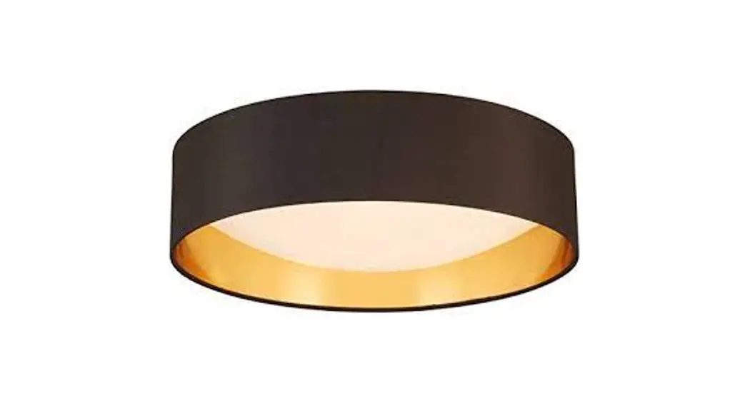 Eglo 31172 Ceiling Led Light Instructions