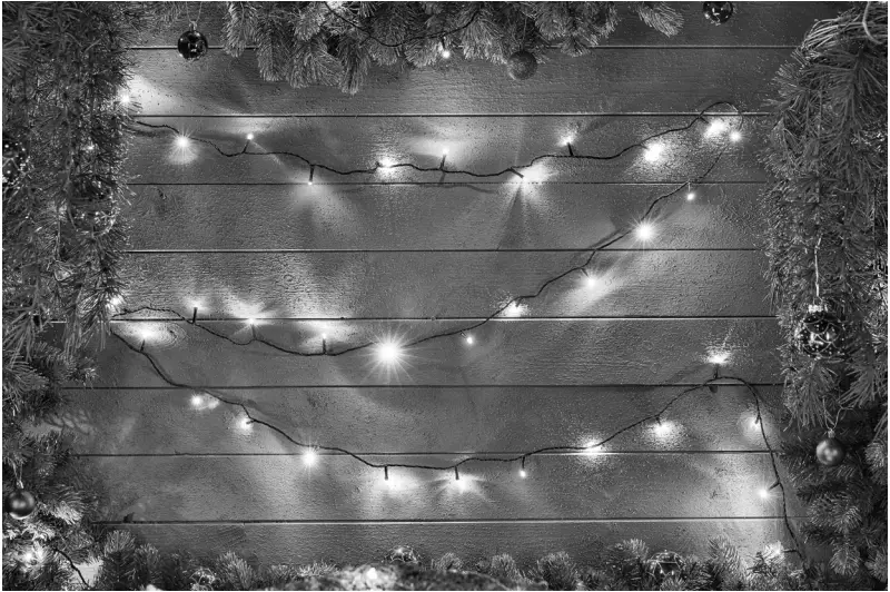 EKVIP 022504 LED String Lights