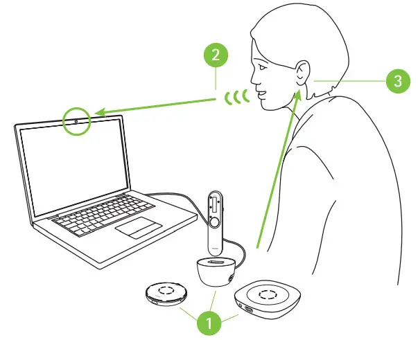 PHONAK Roger Microphones for Hearing Aids - integrated microphones