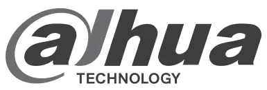 dahua