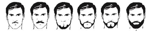 TYPES OF BEARD