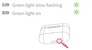 Shenzhen Wooask Technology M6 Translator Earbuds- Green light