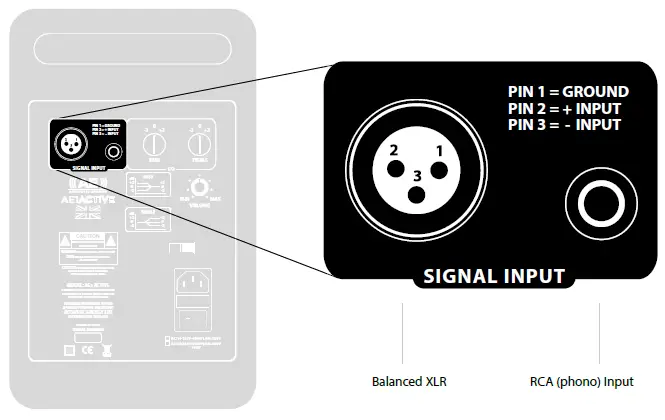 Rear input connections