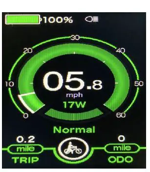 YAMEE Plus -Version- Fat -Bear Bike -FIG 21