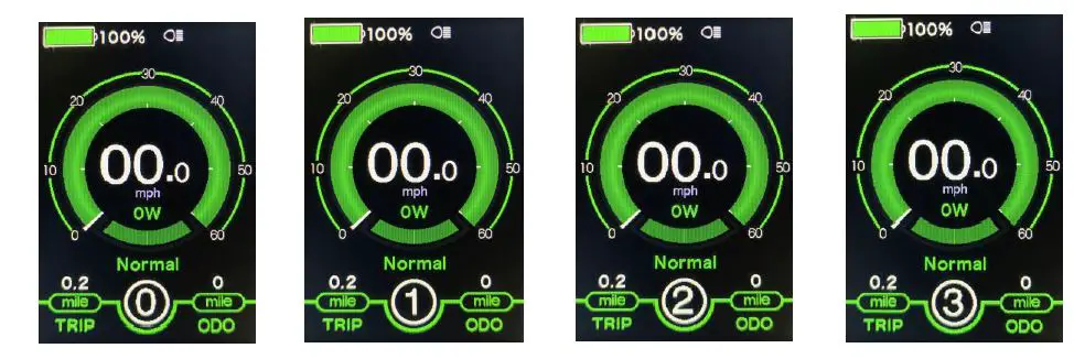 YAMEE Plus -Version- Fat -Bear Bike -FIG 22