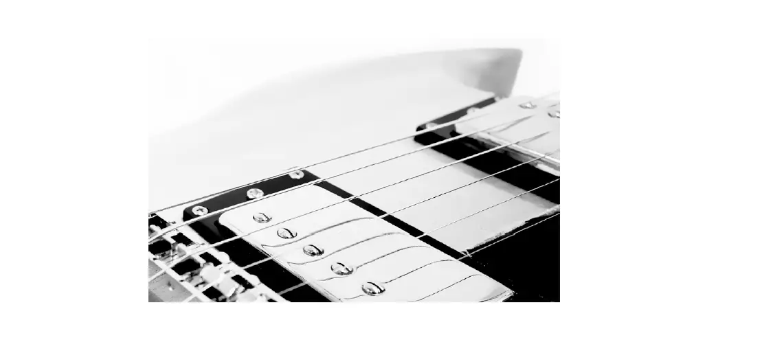 Harley Benton 255975 Benton Electric Guitar Kit Dc Style User Manual Harley Benton 255975 Benton Electric Guitar Kit Dc Style User Manual