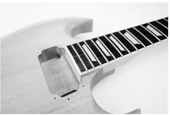 Harley-Benton-255975-Benton-Electric-Guitar-Kit-DC-Style-fig-5