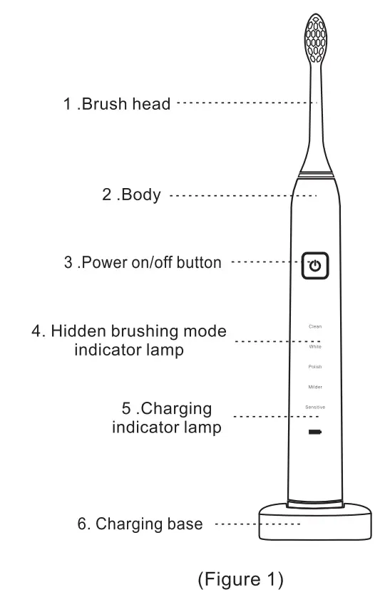 SONIC Electric Toothbrush Instruction Manual - Figure 1