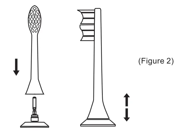 SONIC Electric Toothbrush Instruction Manual - Figure 2