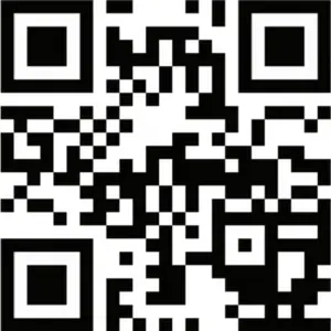 QR Code 2