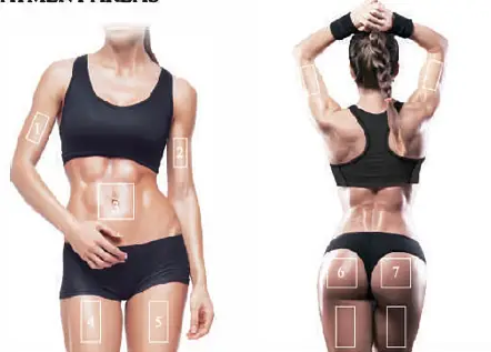 FLAT IRON 6329 Cellulite Reducing and Body Toning Device fig 1