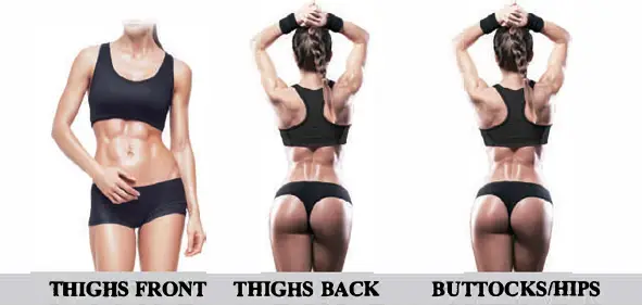 FLAT IRON 6329 Cellulite Reducing and Body Toning Device fig 3