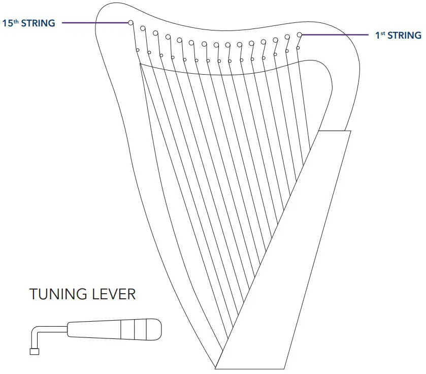 playLITE 15 STRING HARP Cordes par Gear4music - Fig1