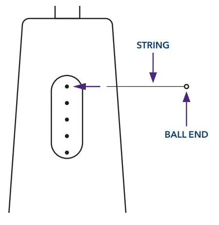 playLITE 15 STRING HARP Cordes par Gear4music - Fig4