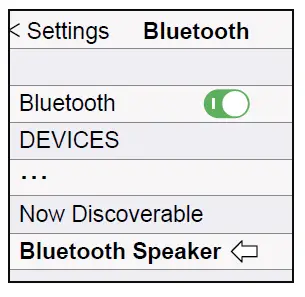 HEUFF MP3 Player and Bluetooth Module FIG 2