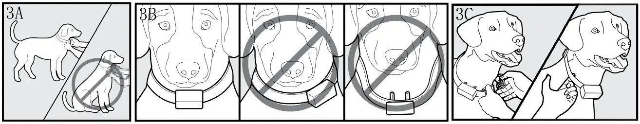 Chewy 316494 Trainer Dog Collar Water and Rechargeable with Yards Range - Figure 3