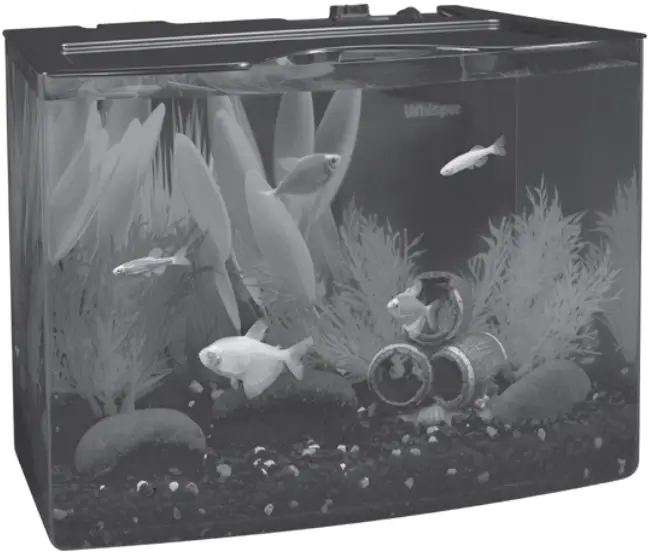 GloFish 3-Gallon Aquarium Kit --Aquarium Kit