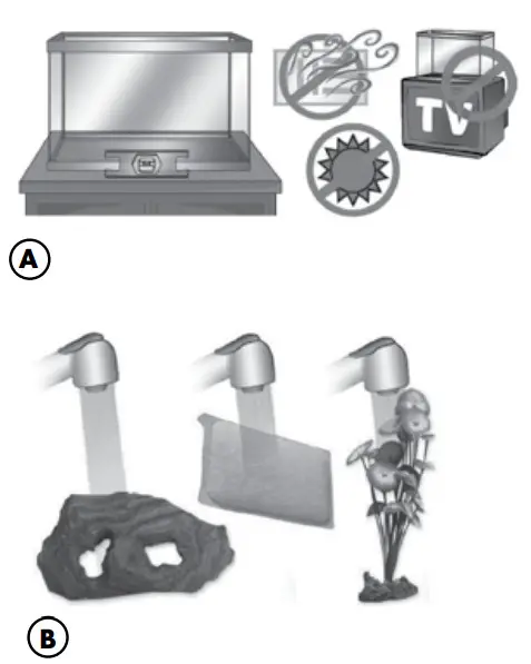 GloFish 3-Gallon Aquarium Kit -Aquarium Location