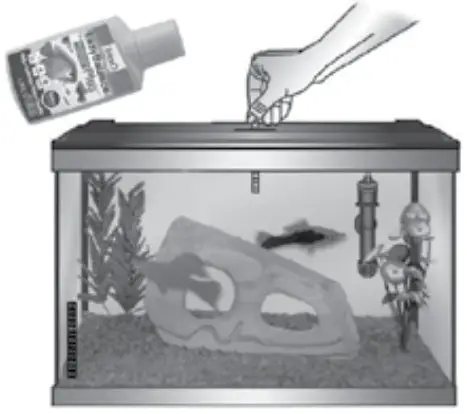 GloFish 3-Gallon Aquarium Kit -Maintenance Guide-1